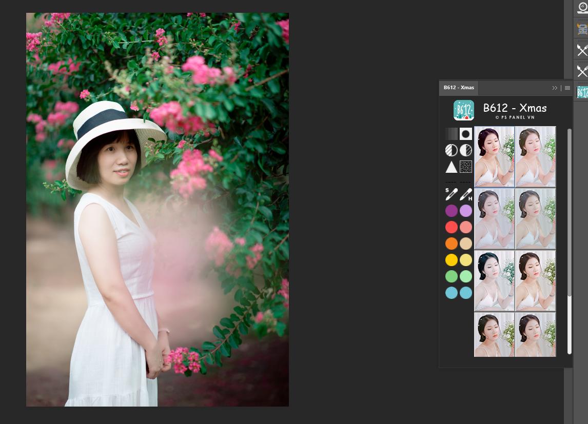 Download và cài đặt panel B612 Xmas cho Photoshop