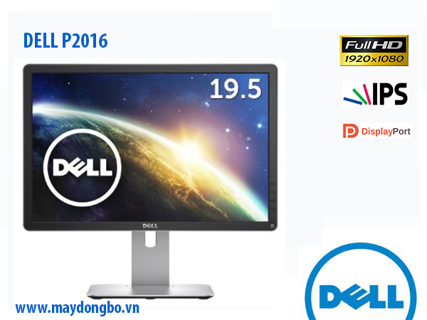 Màn hình Dell 19.5 P2016H