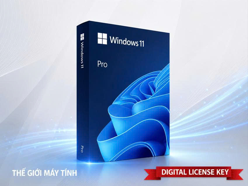 Windows 11 Pro FQC-10572 DVD