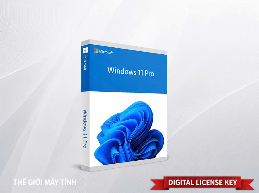 Windows 11 Pro FQC-10572